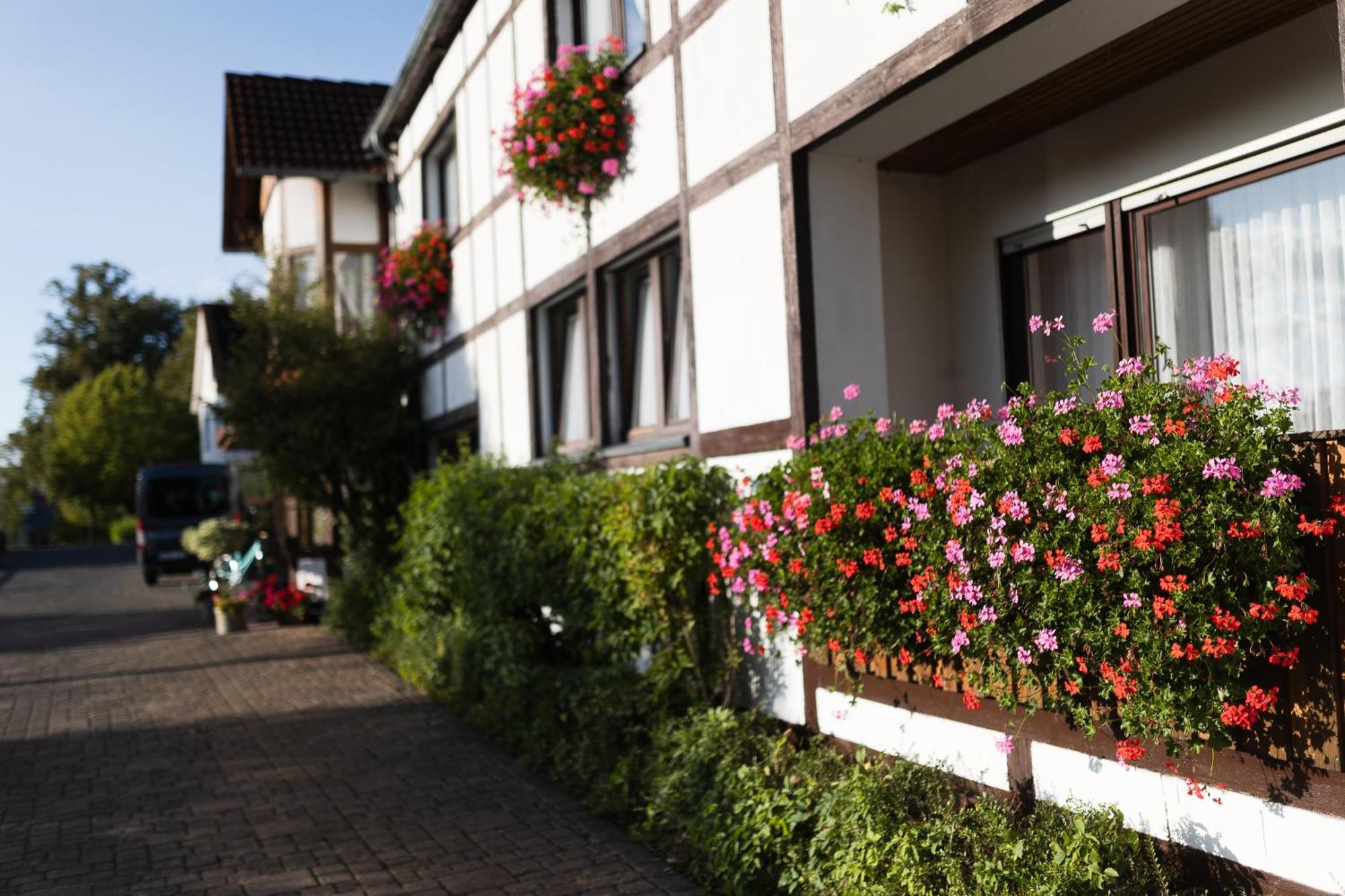 Marienmünster Pension Ridder מראה חיצוני תמונה