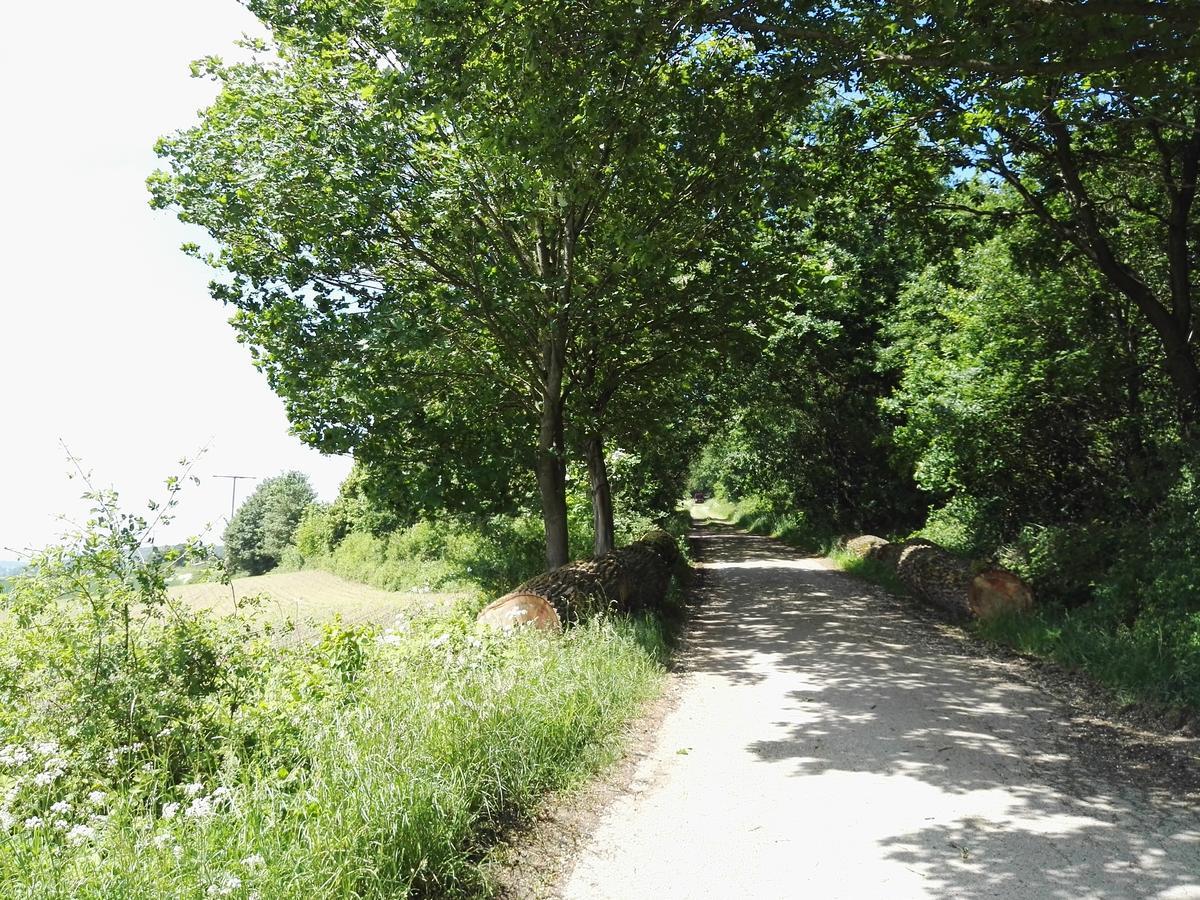 Marienmünster Pension Ridder מראה חיצוני תמונה